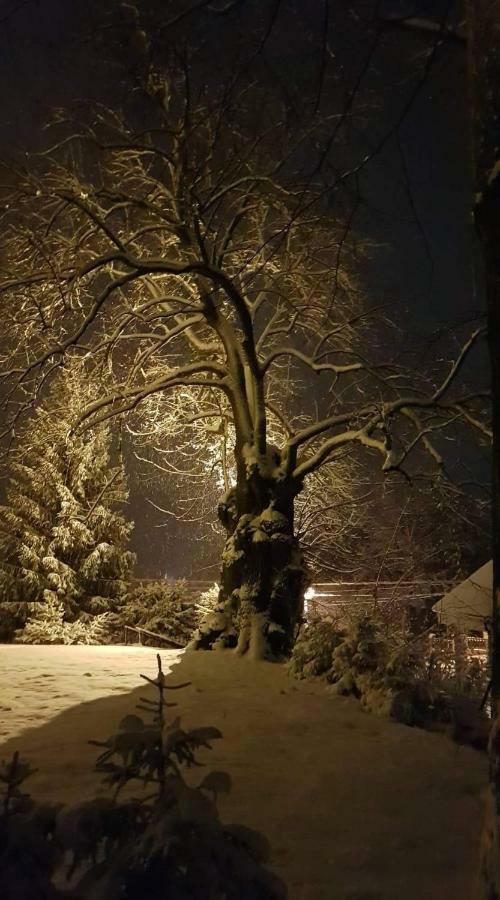 Apartmany Calma Liptovský Mikuláš Dış mekan fotoğraf